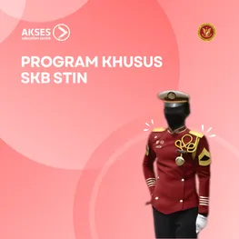 SKB STIN